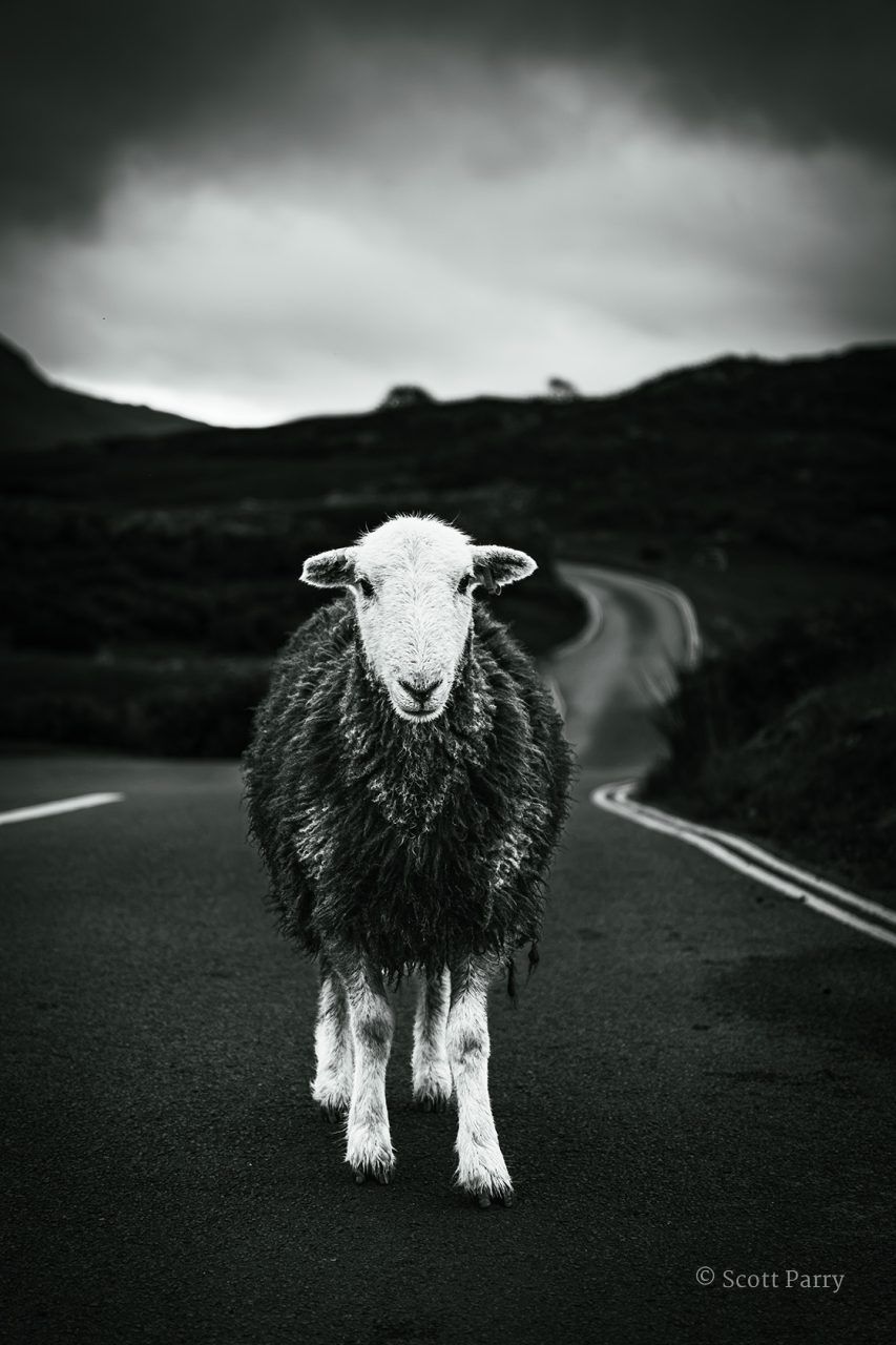 Gatekeeper