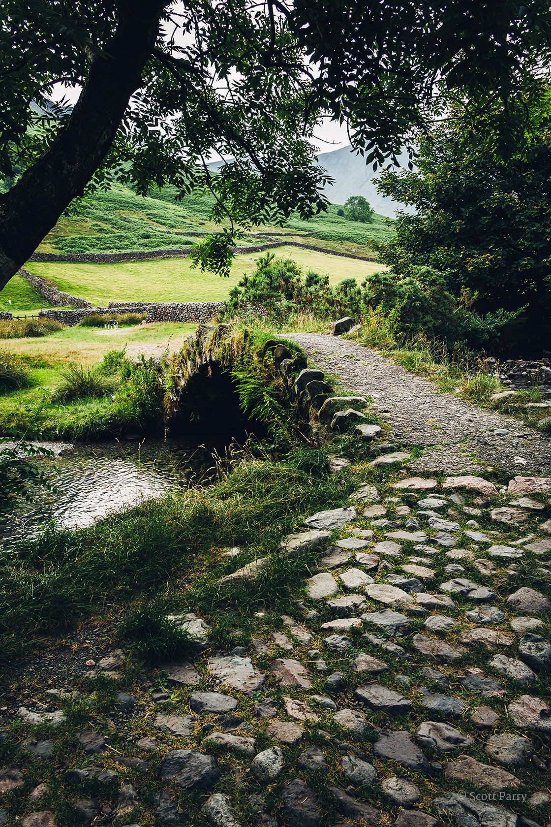 Steps Through Time
